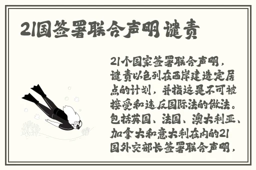荒野大镖客大妈视频